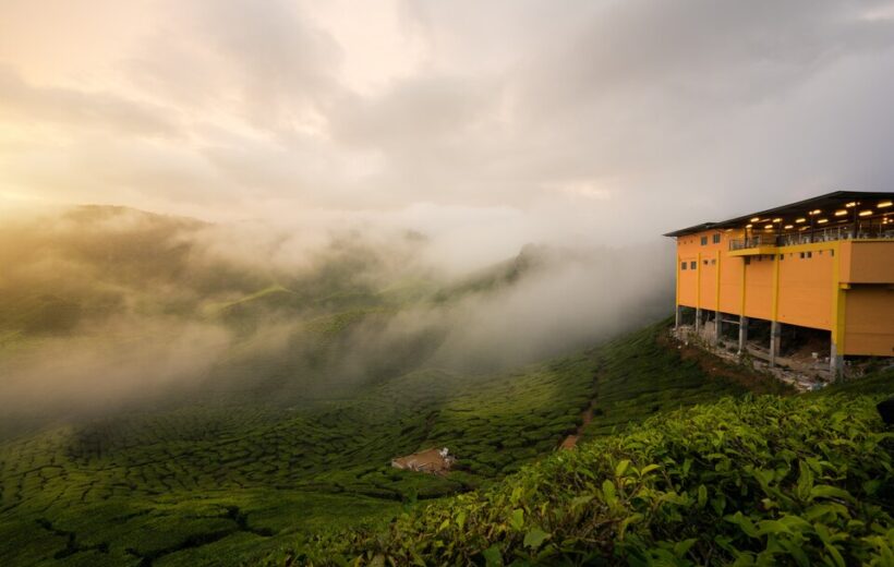 7 Days 6 Nights - Alleppey | Houseboat | Munnar | Thekkady