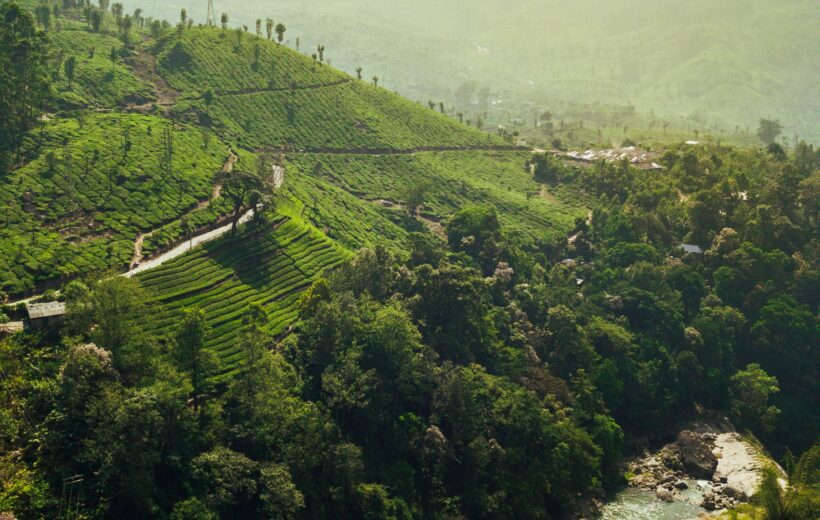 3 Days 2 Night - Houseboat | Munnar